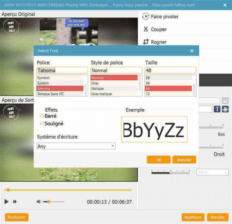 Comment personnaliser votre propre menu DVD avec un titre/chapitre